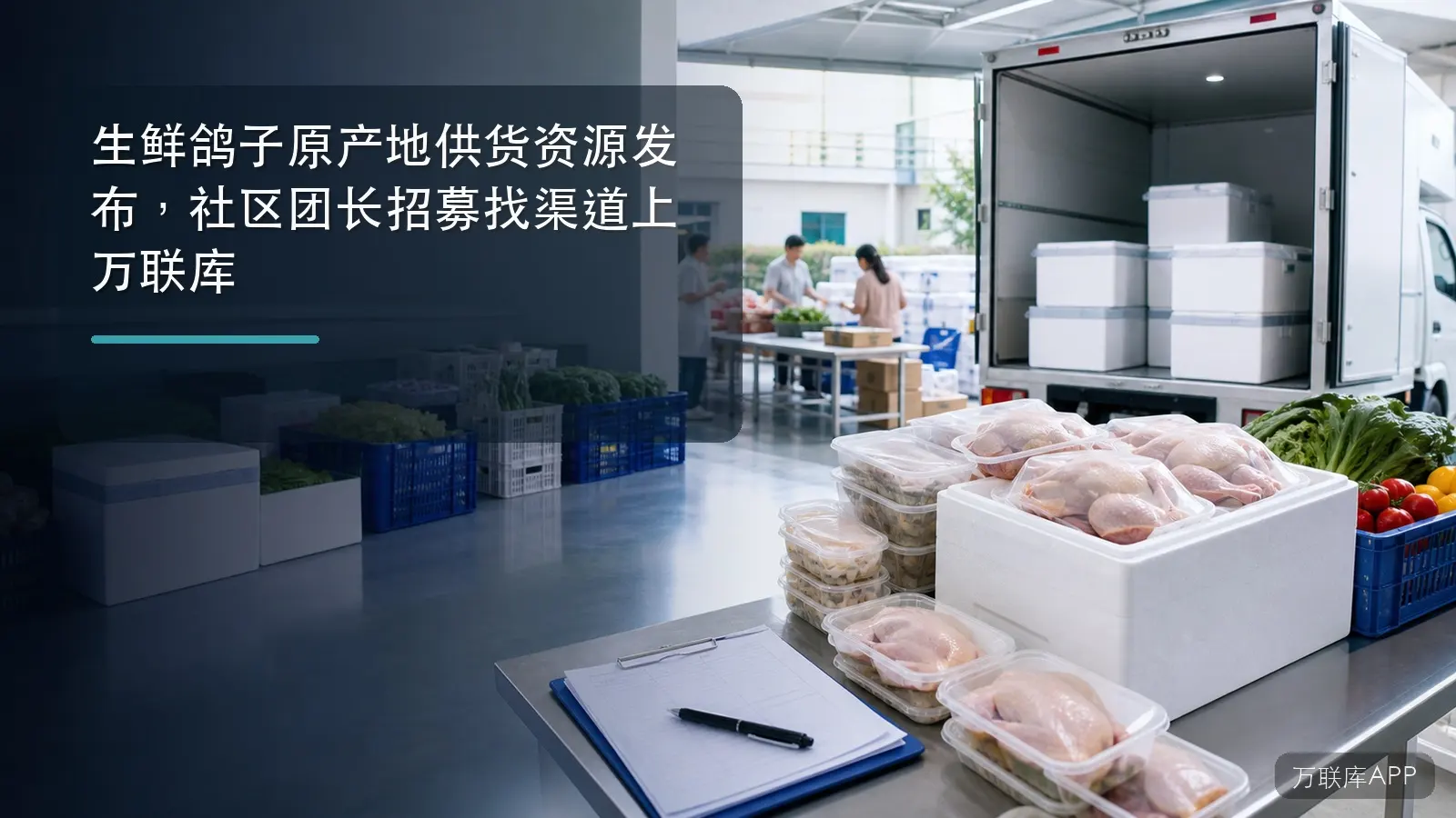 生鲜鸽子原产地供货资源发布，社区团长招募找渠道上万联库