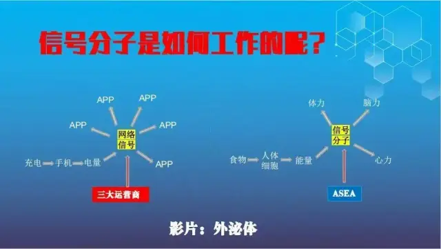 招募合伙人轻资产创业电子商贸大健康赛道-2