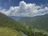 Shinn的头像