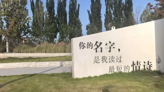 抖音小游戏招商，专业互联网孵化-2